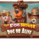 The Dog House Dog or Alive