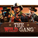 The Wild Gang